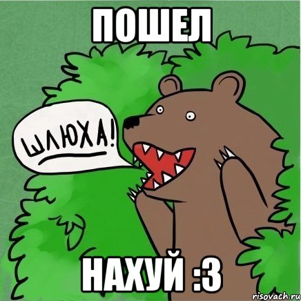 ПОШЕЛ НАХУЙ :3