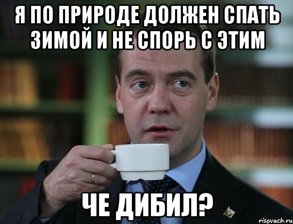 Я по природе должен спать зимой и не спорь с этим че дибил?, Мем Медведев спок бро