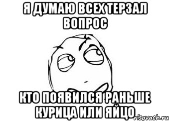 Я думаю всех терзал вопрос Кто появился раньше курица или яйцо, Мем Мне кажется или