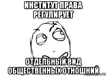 Институт права регулирует отдельный вид общественных отношний, Мем Мне кажется или