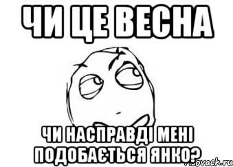 ЧИ ЦЕ ВЕСНА ЧИ НАСПРАВДІ МЕНІ ПОДОБАЄТЬСЯ ЯНКО?, Мем Мне кажется или