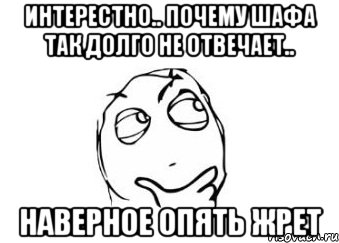 интерестно.. почему Шафа так долго не отвечает.. наверное опять жрет, Мем Мне кажется или