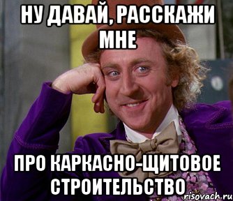 ну давай, расскажи мне про каркасно-щитовое строительство, Мем мое лицо