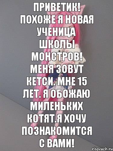 Приветик! Похоже я новая ученица школы монстров! Меня зовут Кетси. Мне 15 лет. Я обожаю миленьких котят.Я хочу познакомится с вами!, Комикс монстер хай новая ученица