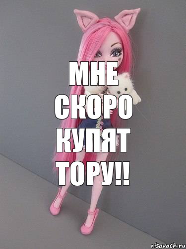 Мне скоро купят Тору!!, Комикс монстер хай новая ученица