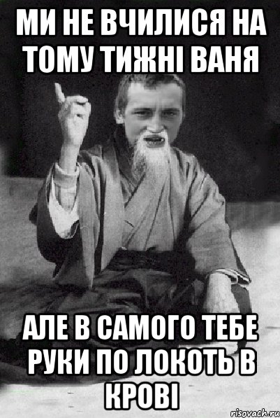 ми не вчилися на тому тижні ваня але в самого тебе руки по локоть в крові, Мем Мудрий паца