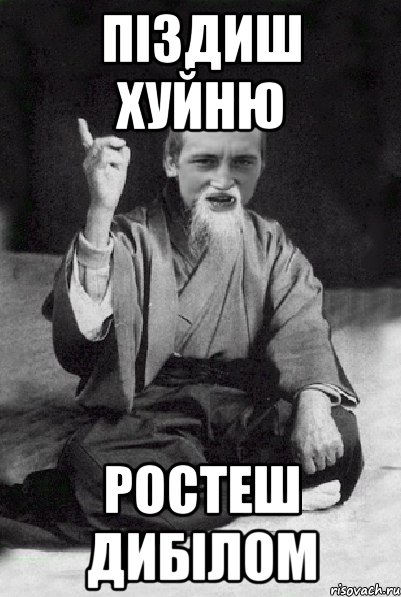 Піздиш хуйню ростеш дибілом, Мем Мудрий паца