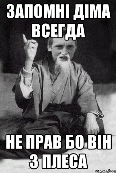 запомні діма всегда не прав бо він з плеса, Мем Мудрий паца