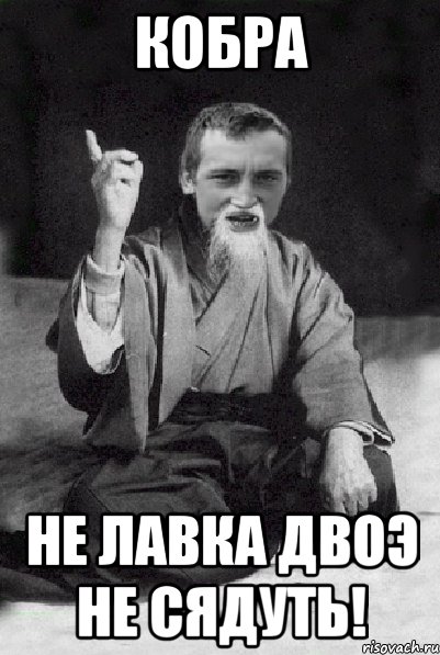 Кобра Не лавка двоэ не сядуть!, Мем Мудрий паца