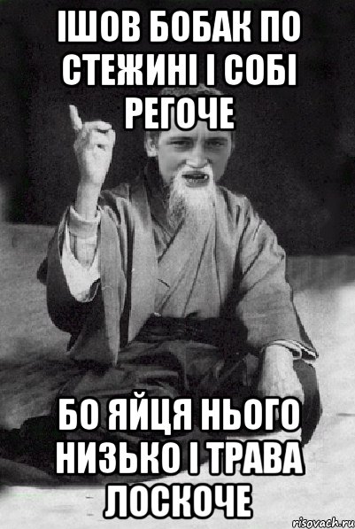 ішов бобак по стежині і собі регоче бо яйця нього низько і трава лоскоче, Мем Мудрий паца