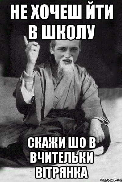 не хочеш йти в школу скажи шо в вчительки вітрянка, Мем Мудрий паца