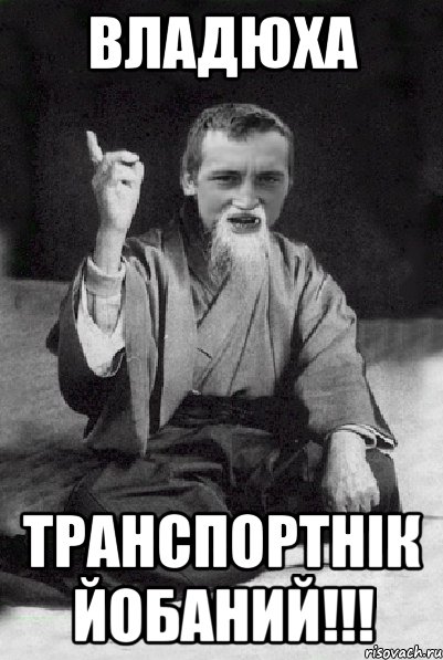 Владюха транспортнік йобаний!!!, Мем Мудрий паца