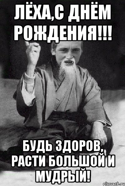 Лёха,с Днём Рождения!!! Будь здоров, расти большой и мудрый!, Мем Мудрий паца