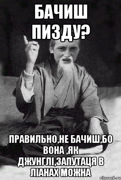 Бачиш пизду? правильно,не бачиш,бо вона ,як джунглі,запутаця в ліанах можна, Мем Мудрий паца