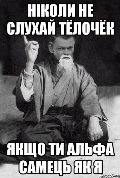 Ніколи не слухай тёлочёк Якщо ти альфа самець як я, Мем Мудрий Виталька