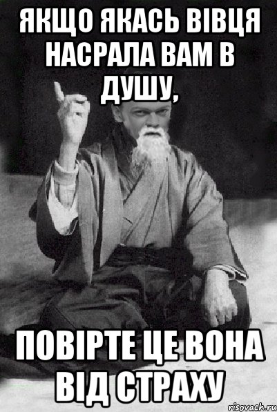 Якщо якась вівця насрала вам в душу, Повірте це вона від страху, Мем Мудрий Виталька