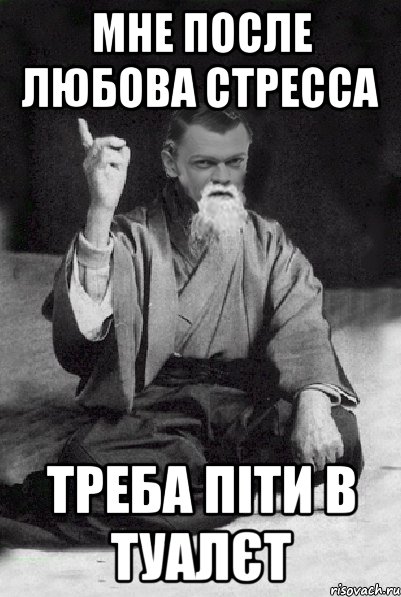 Мне после любова стресса треба піти в туалєт, Мем Мудрий Виталька