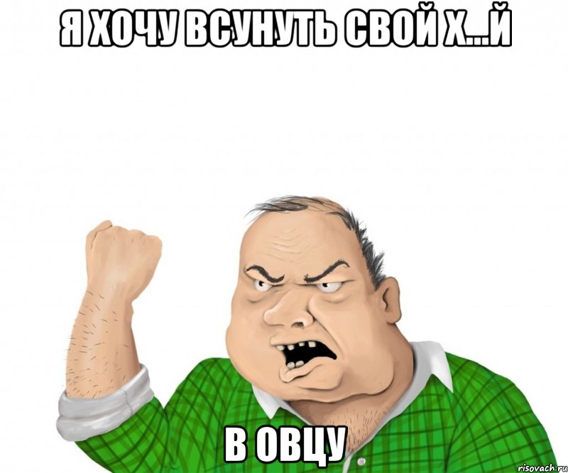 Я хочу всунуть свой х...й В овцу, Мем мужик