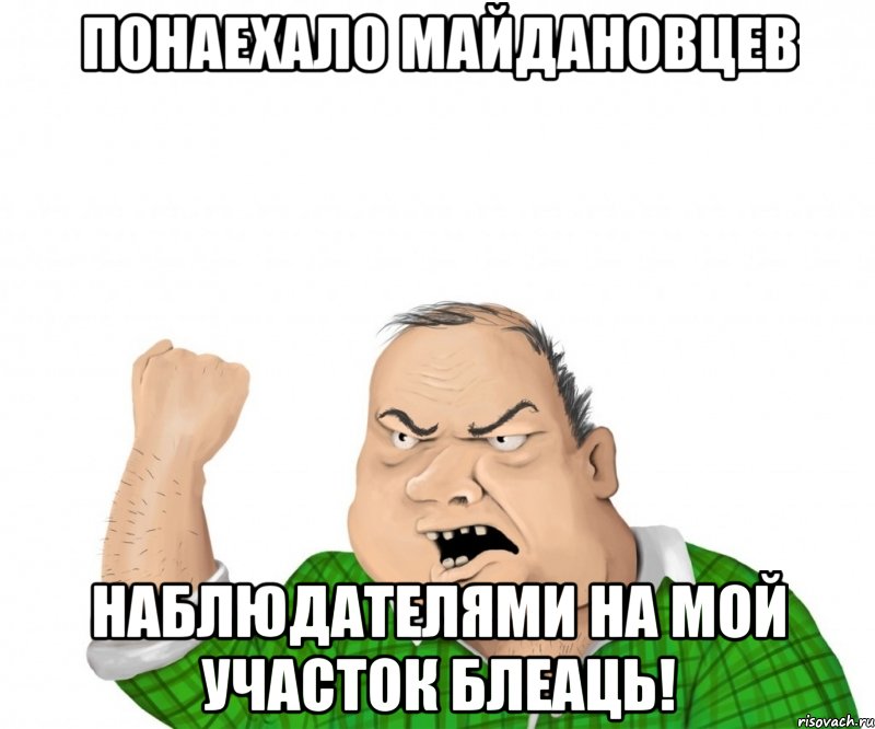 Понаехало майдановцев наблюдателями на мой участок блеаць!, Мем мужик