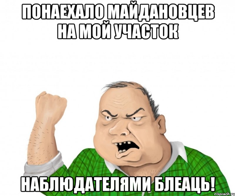 Понаехало майдановцев на мой участок наблюдателями блеаць!, Мем мужик