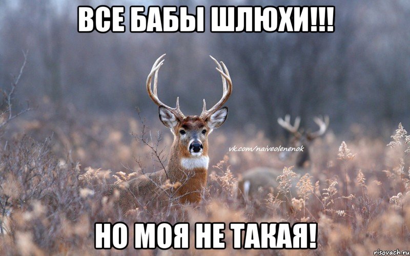 все бабы шлюхи!!! но моя не такая!, Мем   Наивный олень