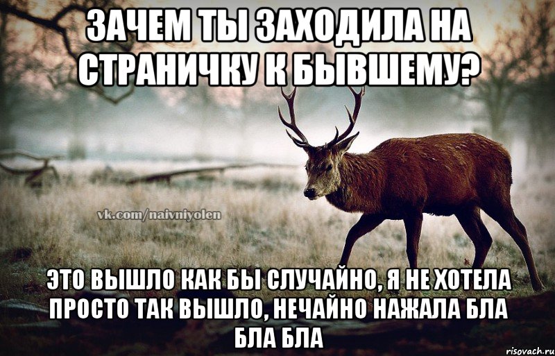 Зачем ты заходила на страничку к бывшему? Это вышло как бы случайно, я не хотела просто так вышло, нечайно нажала бла бла бла