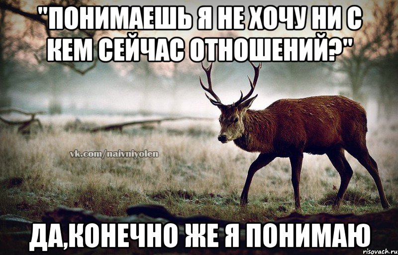 "понимаешь я не хочу ни с кем сейчас отношений?" Да,конечно же я понимаю, Мем naivehole