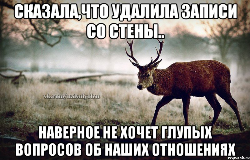 сказала,что удалила записи со стены.. наверное не хочет глупых вопросов об наших отношениях, Мем naivehole