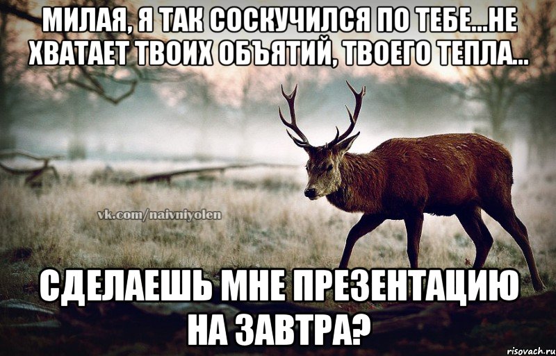 Милая, я так соскучился по тебе...не хватает твоих объятий, твоего тепла... сделаешь мне презентацию на завтра?, Мем naivehole