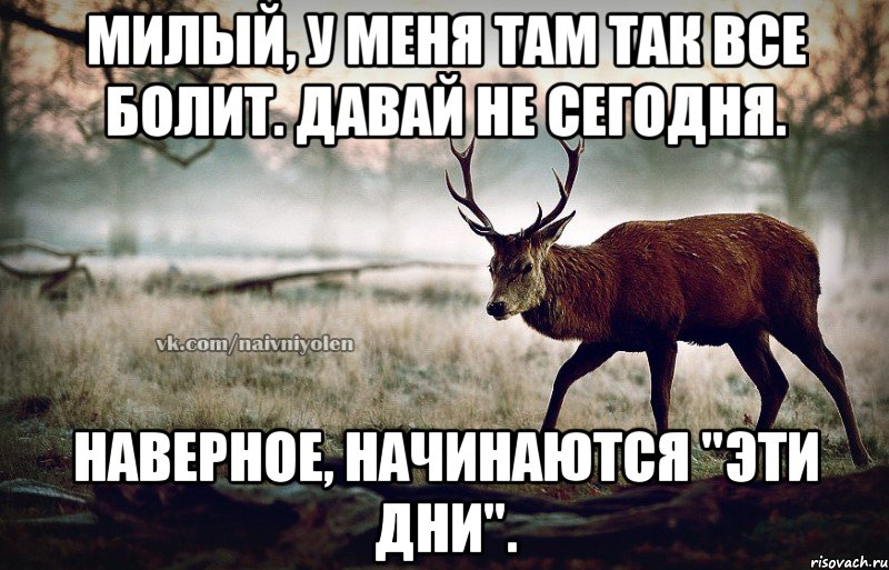 Милый, у меня Там так все болит. Давай не сегодня. Наверное, начинаются "Эти дни"., Мем naivehole