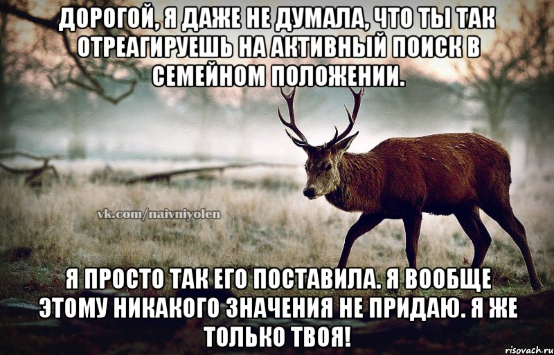 Дорогой, я даже не думала, что ты так отреагируешь на активный поиск в семейном положении. Я просто так его поставила. Я вообще этому никакого значения не придаю. Я же только твоя!, Мем naivehole