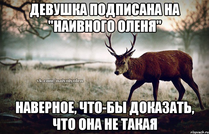 Девушка подписана на "Наивного оленя" наверное, что-бы доказать, что она не такая, Мем naivehole