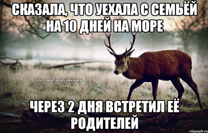 сказала, что уехала с семьёй на 10 дней на море через 2 дня встретил её родителей