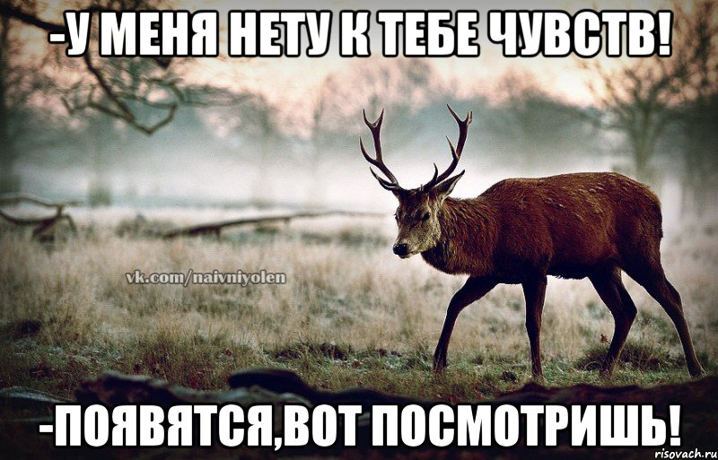 -У меня нету к тебе чувств! -Появятся,вот посмотришь!, Мем naivehole