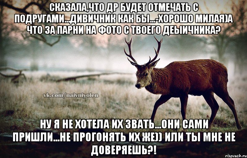 Сказала,что др будет отмечать с подругами...дивичник как бы...-Хорошо милая)А что за парни на фото с твоего деыичника? Ну я не хотела их звать...они сами пришли...Не прогонять их же)) или ты мне не доверяешь?!, Мем naivehole