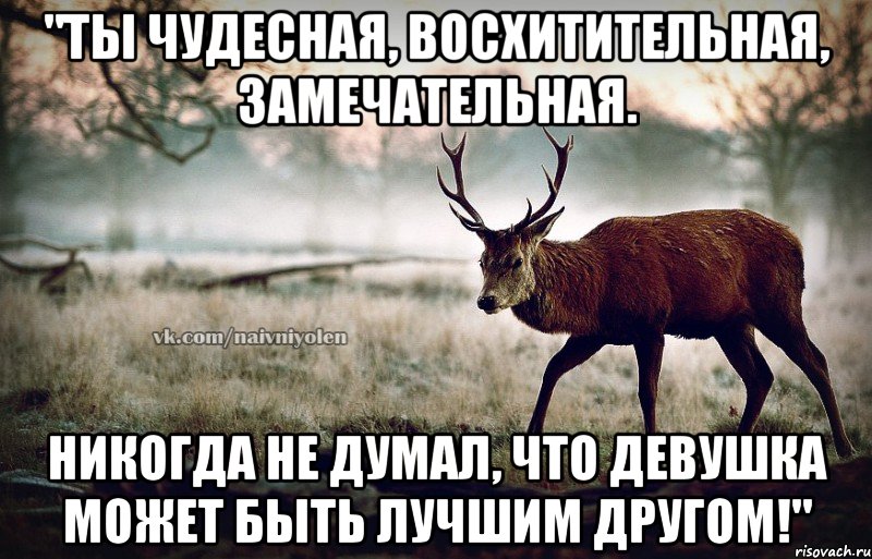 "Ты чудесная, восхитительная, замечательная. Никогда не думал, что девушка может быть лучшим другом!", Мем naivehole