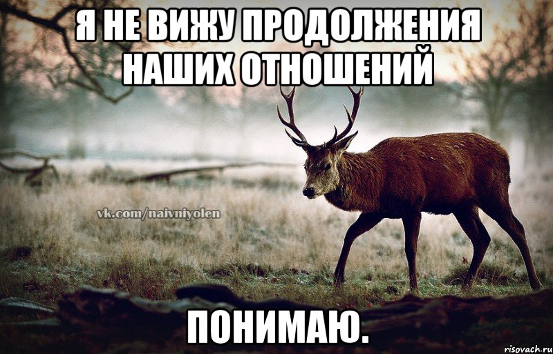 я не вижу продолжения наших отношений понимаю., Мем naivehole