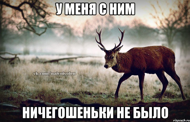 У меня с ним Ничегошеньки не было, Мем naivehole