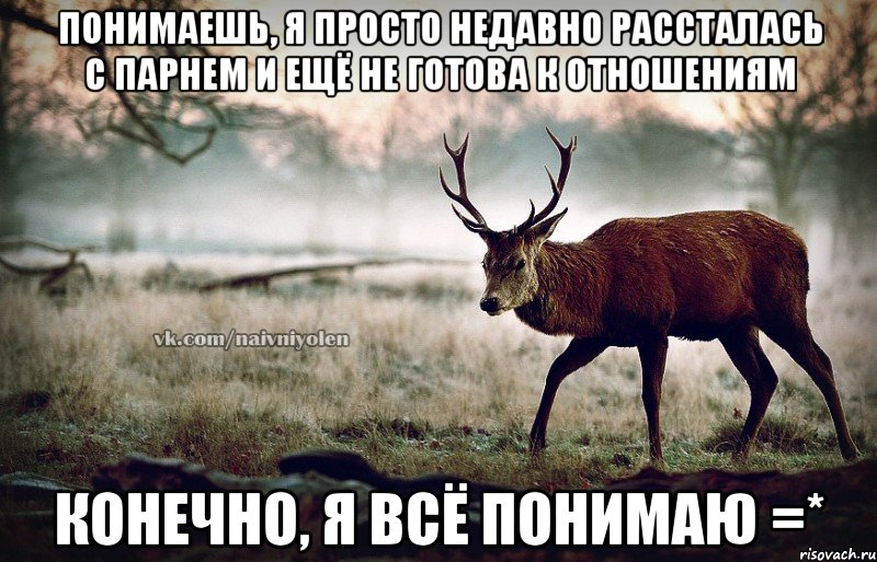 понимаешь, я просто недавно рассталась с парнем и ещё не готова к отношениям конечно, я всё понимаю =*, Мем naivehole