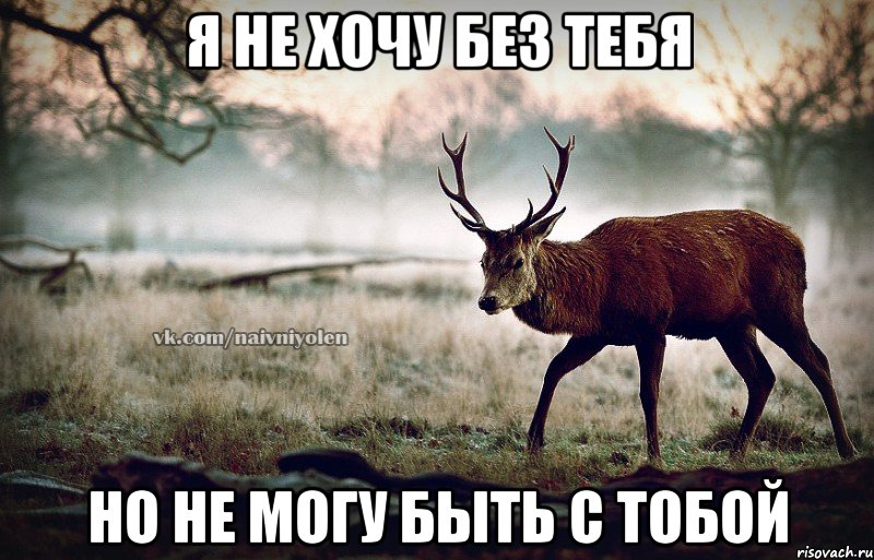 я не хочу без тебя но не могу быть с тобой