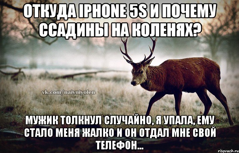 Откуда iphone 5s и почему ссадины на коленях? Мужик толкнул случайно, я упала, ему стало меня жалко и он отдал мне свой телефон..., Мем naivehole