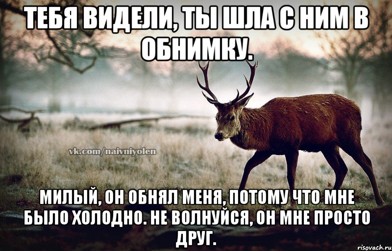 Тебя видели, ты шла с ним в обнимку. Милый, он обнял меня, потому что мне было холодно. Не волнуйся, он мне просто друг., Мем naivehole