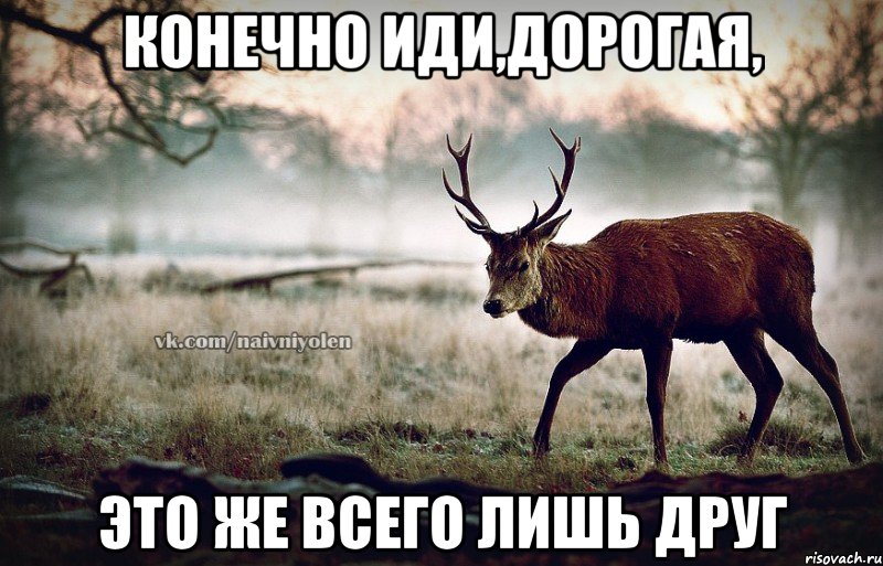 Конечно иди,дорогая, это же всего лишь друг