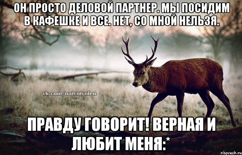 Он просто деловой партнер. Мы посидим в кафешке и все. Нет, со мной нельзя. Правду говорит! Верная и любит меня:*, Мем naivehole