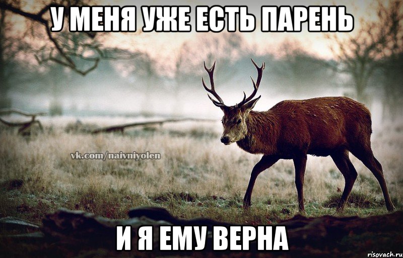 у меня уже есть парень и я ему верна, Мем naivehole