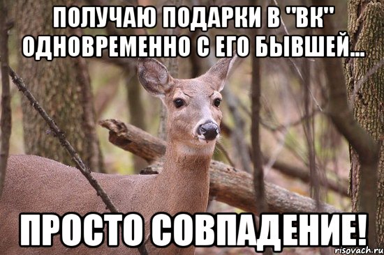 Получаю подарки в "ВК" одновременно с его бывшей... Просто совпадение!, Мем Наивная олениха