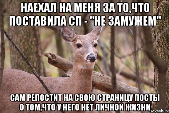 Наехал на меня за то,что поставила СП - "не замужем" Сам репостит на свою страницу посты о том,что у него нет личной жизни