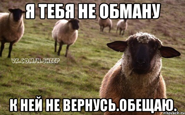 Я тебя не обману К ней не вернусь.Обещаю., Мем  Наивная Овца