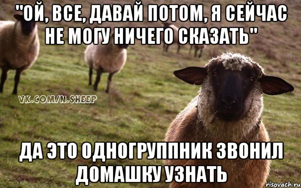 "Ой, все, давай потом, я сейчас не могу ничего сказать" Да это одногруппник звонил домашку узнать, Мем  Наивная Овца