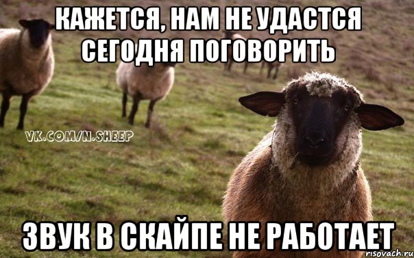 Кажется, нам не удастся сегодня поговорить Звук в Скайпе не работает, Мем  Наивная Овца